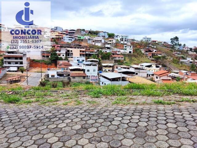 #336 - Área para Venda em Visconde do Rio Branco - MG